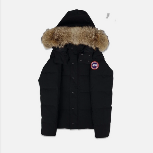 Kurtka Canada Goose dostawca